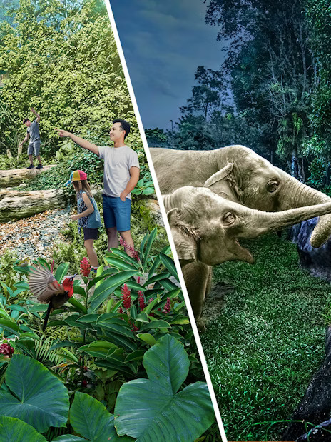 2-Park Combo: Night Safari + Rainforest Wild ASIA Tickets - Image 1